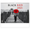 Kalendář 2021 nástěnný Exclusive: Black Red, 485x340