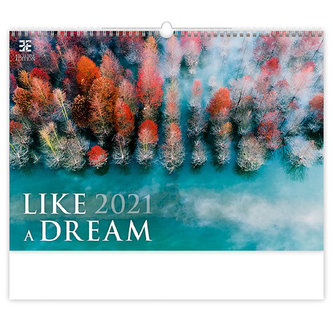 Kalendář 2021 nástěnný Exclusive: Like a Dream, 485x340