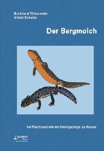 Der Bergmolch