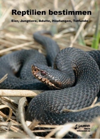 Reptilien bestimmen