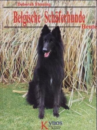Belgische Schäferhunde - Heute