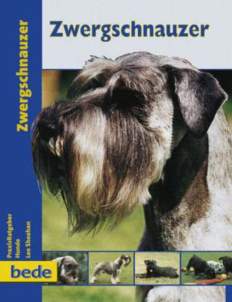 Zwergschnauzer
