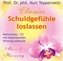 Schuldgefühle loslassen, 1 Audio-CD
