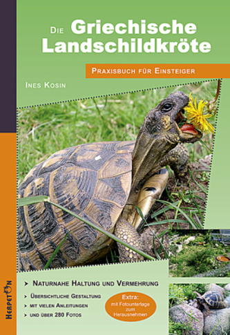 Die Griechische Landschildkröte