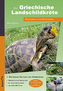 Die Griechische Landschildkröte