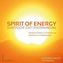 Spirit of Energy, Schatzsuche statt Fehlerfahndung, m. 62 Ktn.