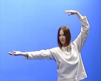 Die 18 Übungen des Taiji-Qigong, 1 DVD