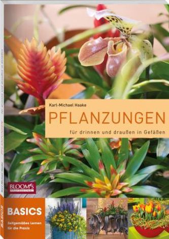 Pflanzungen für drinnen und draußen in Gefäßen