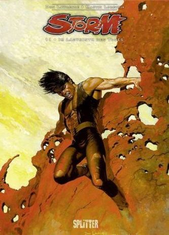Storm - Im Labyrinth des Todes