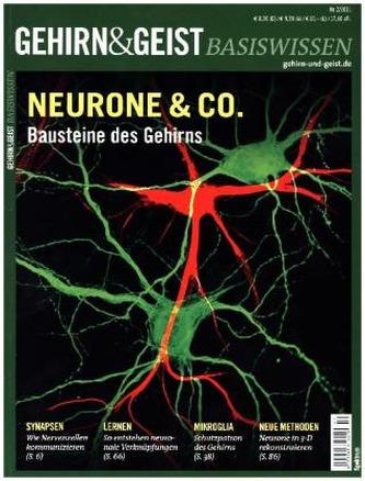 Neurone & Co.