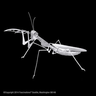 Metal Earth 3D puzzle: Kudlanka nábožná