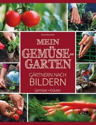 Mein Gemüsegarten - Gärtnern nach Bildern
