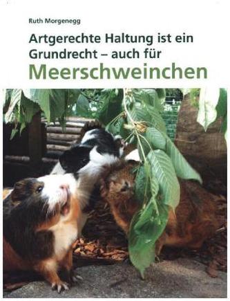 Artgerechte Haltung, ein Grundrecht auch für Meerschweinchen