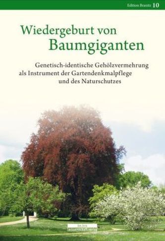 Wiedergeburt von Baumgiganten