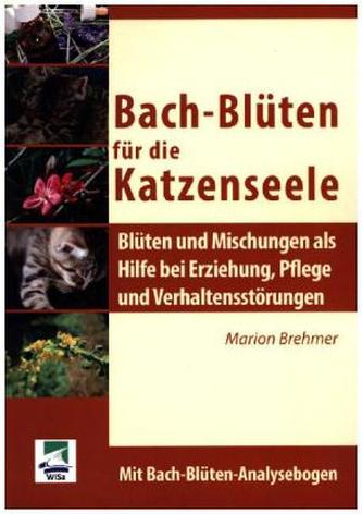 Bach-Blüten für die Katzenseele