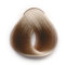 Color ASH 9/1 Very Light Blonde Ash 100ml/Permanentní barvy/popelavé