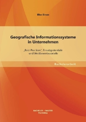 Geografische Informationssysteme in Unternehmen