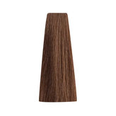 Bionic GOLDEN 6/3 Dark Blonde Golden 100ml/Permanentní barvy/Zlaté