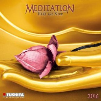 Meditation 2016