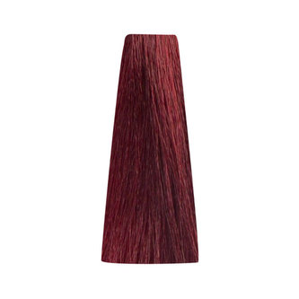 Bionic RED 6/6 Dark Blonde Red 100mll/Permanentní barvy/Červené