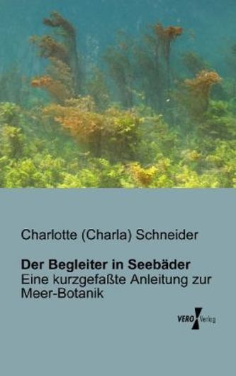 Der Begleiter in Seebäder