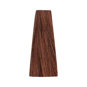 Bionic COPPER 6/4 Dark Blonde Copper 100ml/Permanentní barvy/Měděné