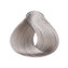Color ASH INTENSE 10/11 Blonde Platinum Intense Ash 100ml/Permanentní barvy