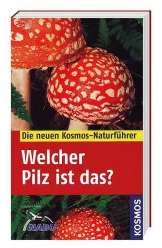 Welcher Pilz ist das?