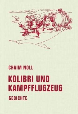 Kolibri und Kampfflugzeug