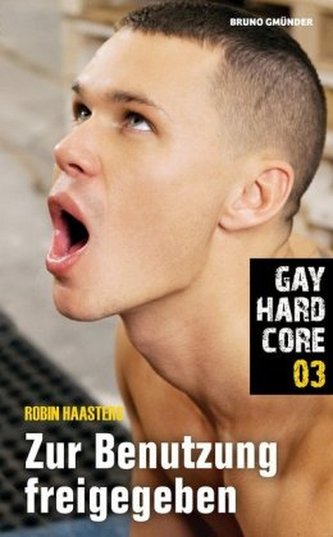 Gay Hardcore - Zur Benutzung freigegeben