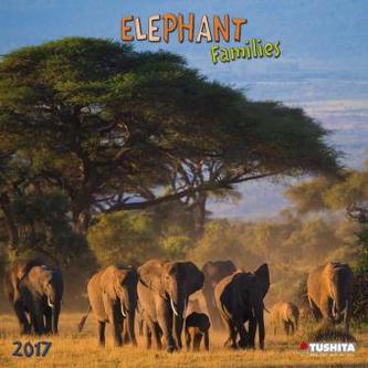 Elephant Families 2017