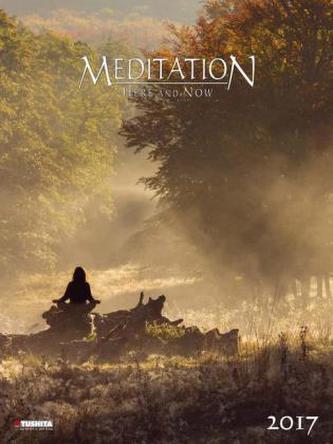Meditation Here and Now 2017