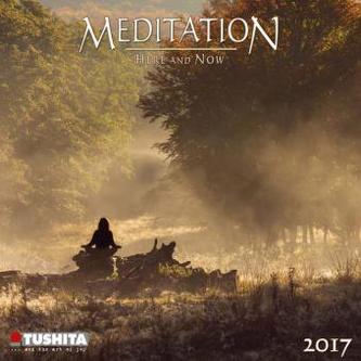 Meditation Here and Now 2017