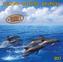 Delfine / Dolphins / Dauphins 2017