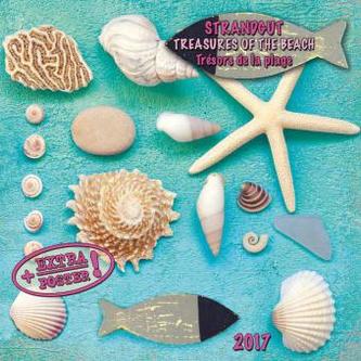 Strandgut / Beach Treasures / Trésors de la plage 2017