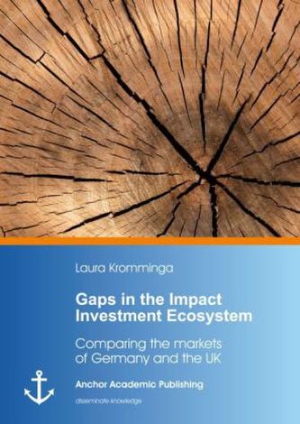 Gaps in the Impact Investment Ecosystem. Comparing the markets of Germany and the UK