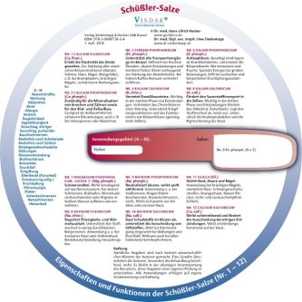 Schüßler-Salze, Drehscheibe