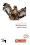 Bergbussard