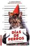 Días de perros