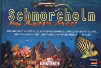 Rotes Meer, Schnorcheln