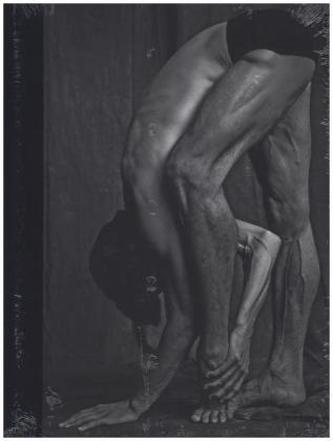 Matthew Brookes: Les Danseurs