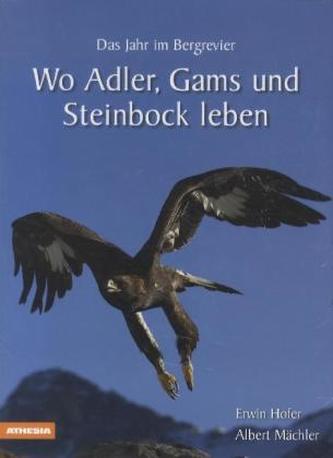 Wo Adler, Gams und Steinbock leben