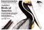 Postcard Colouring Book - Audubon - Birds of America