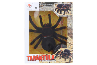 Pavouk na dálkové ovládání