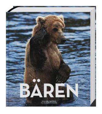 BÄREN - Die einsamen Jäger