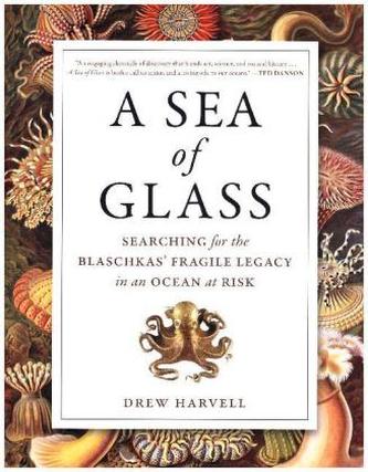 Sea of Glass