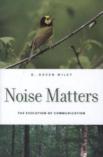 Noise Matters