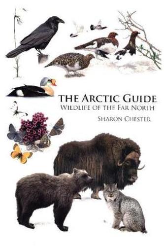 Arctic Guide