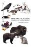 Arctic Guide