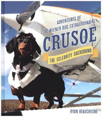 Crusoe, the Celebrity Dachshund